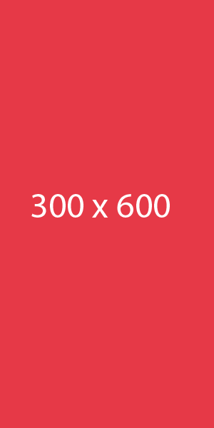 300by600.png