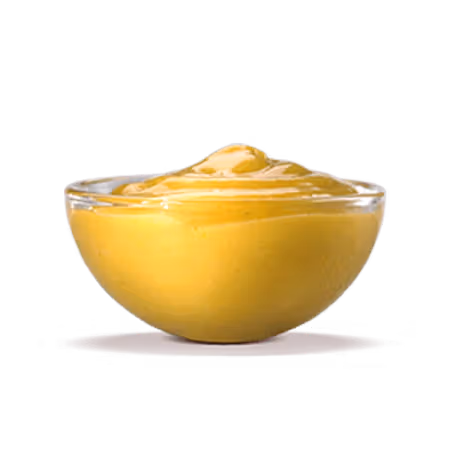 Burger King Zesty Dipping Sauce