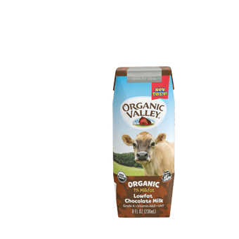 Organic Chocolate Milk
